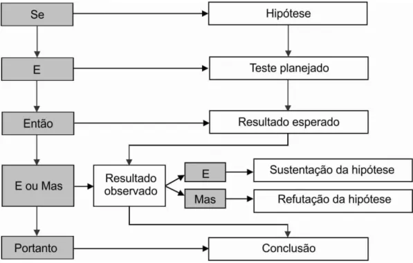 Figura 11  –  Estrutura do padrão de raciocínio com especificação dos resultados observados 