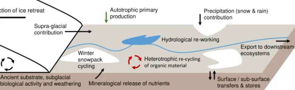 Figure 1. A conceptual overview of the main transformations and fluxes of nutrients and organic matter in and along a typical de-glaciated forefield.