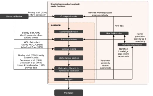 Figure 2. Iterative, fully integrated interdisciplinary framework of SHIMMER, aimed at continu- continu-ing model development as new datasets emerge and knowledge of the field evolves.