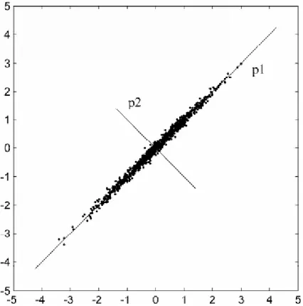 Figura 3.7 Gráfico de Correlação entre os pontos das variáveis X e Y, reagrupadas nas componentes  principais P1 e P2 