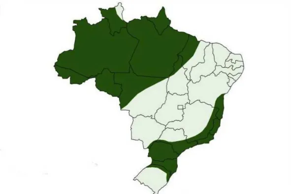 Figura 17: Distribuição geográfica do Falso Uiraçú em território brasileiro. (Fonte: 