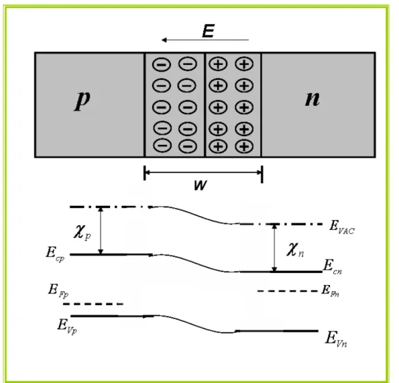 Figura 1.5: Efeitos da aplicação de diferença de potencial sobre os níveis de energia de uma  junção polarizada diretamente
