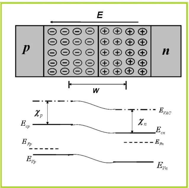 Figura 1.6: Efeitos da aplicação de diferença de potencial sobre os níveis de energia de uma  junção polarizada reversamente