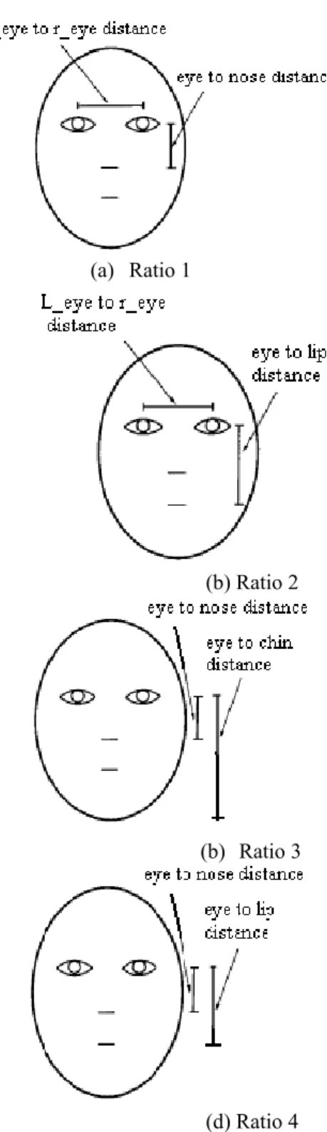 Figure 3.   The four ratios used 