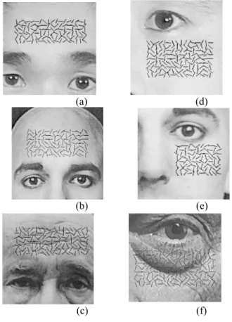 Figure 5.   Wrinkle of face images for different ages. 
