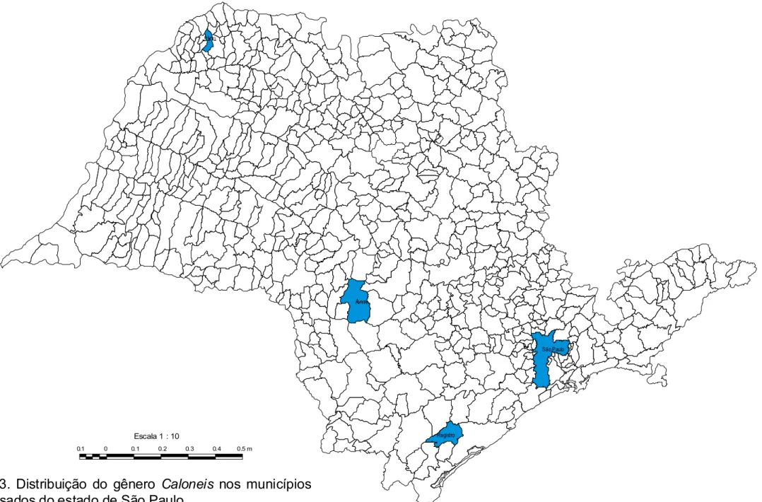 Fig. 3. Distribuição do gênero nos municípios analisados do estado de São Paulo.