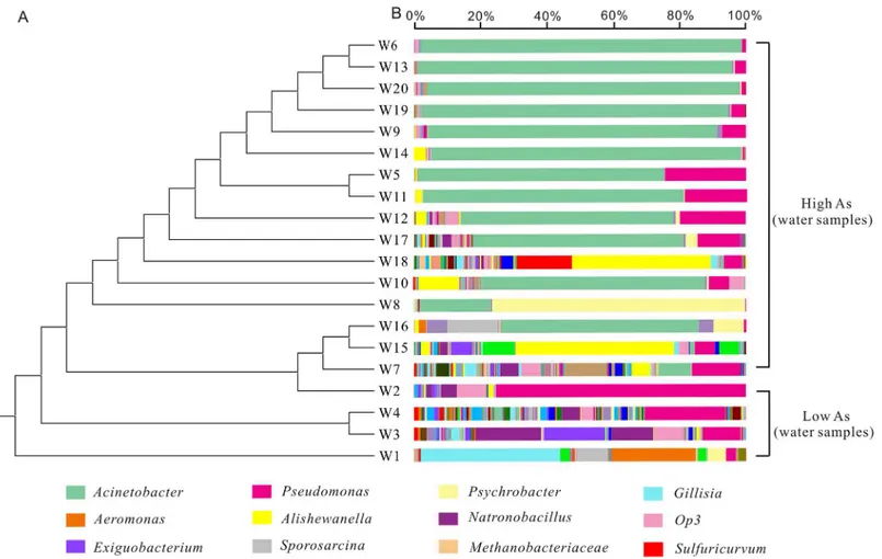 Fig 3. Microbial community compositions of groundwater samples grouped by arsenic concentrations