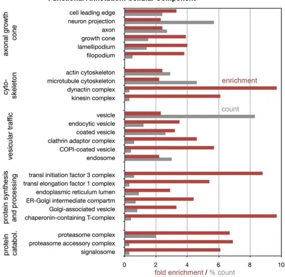 Figure 5 presents a more comprehensive view of known KEGG pathways that are significantly enriched in, or absent from, the growth cone proteome, listed by major category and subcategory (see KEGG Pathway Database)