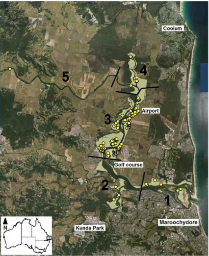 Fig 2. The study site on the lower Maroochy River of Queensland’s Sunshine Coast, showing the location of 180 water mouse nests (yellow circles) and areas of suitable water mouse habitat (shaded areas)