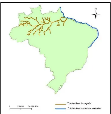 Figura  2:  Mapa  de  distribuição  das  espécies  de  peixes- peixes-boi existentes no Brasil