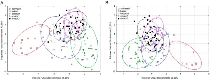 Figura  2.  Gráfico  da  primeira  e  segunda  função  discriminante  da  análise  do  conjunto  2  (formado  por  L