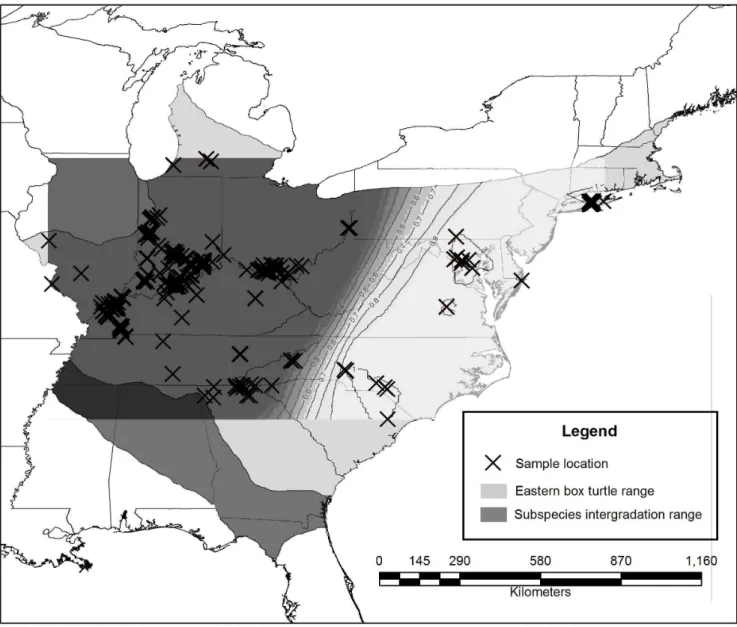 Figure 3. Map of the two populations found rangewide in the eastern box turtle Terrapene