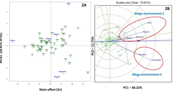 Fig 2. AMMI 2 (2A) and GGE (2B) biplots for kernel zinc concentration in six environments