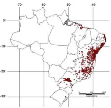 Figura 4. Distribuição geográfica de Biomphalaria glabrata no Brasil.  