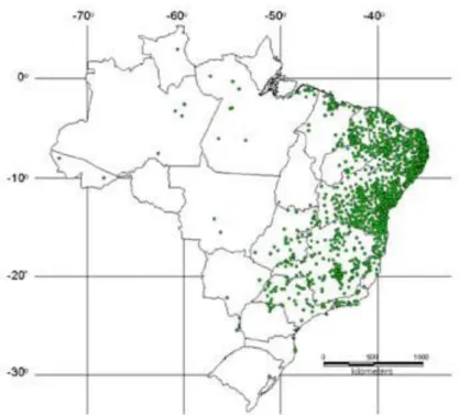 Figura 6. Distribuição geográfica de Biomphalaria straminea no Brasil.  