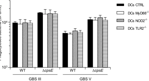 Figure 2. Effect of MyD88, TLR2 or NOD2 deficiency on the capacity of DCs to internalize GBS