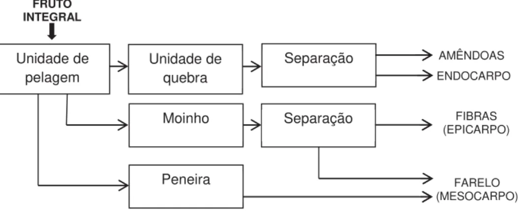 Figura 7: Esquema do processo de obtenção do mesocarpo de babaçu (MAY, 1990) 