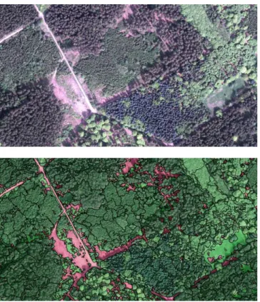 Figure  4:  Multiresolution  segmentation  in  a  heterogeneous forested area (NATFLO) 