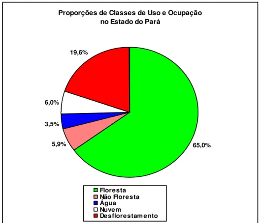 Figura 5 - Classes de uso e ocupação do solo no estado do Pará . 