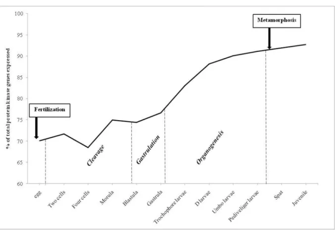 Fig 3. Number of protein kinases genes expressed during Crassostrea gigas development