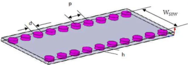 Figure 1.  Rectangular wave guide integrated into a substrate RSIW 