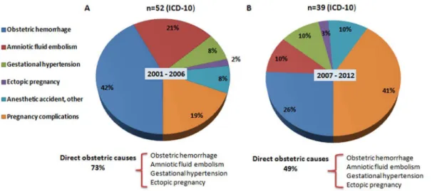 Table 3. The number and proportion (%) of maternal deaths (the first row) and the MMR per 100,000 live births by cause (the second row) in Wuhan between 2001 and 2012.