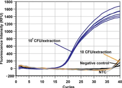 Fig 4. No discernible specimen contamination during 3D printer automated NA extraction