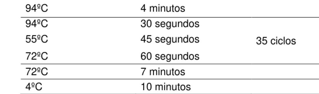 Tabela 4: Protocolo de amplificação em termociclador da PCR para o HCV. 