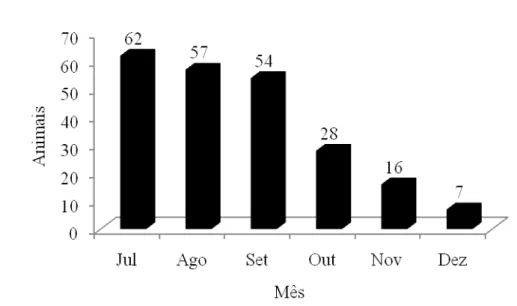 FIGURA  6  Distribuição  de  nascimentos  na  fazenda  do  BAGAM,  na  Ilha  do  Marajó,  nos  meses de julho a dezembro
