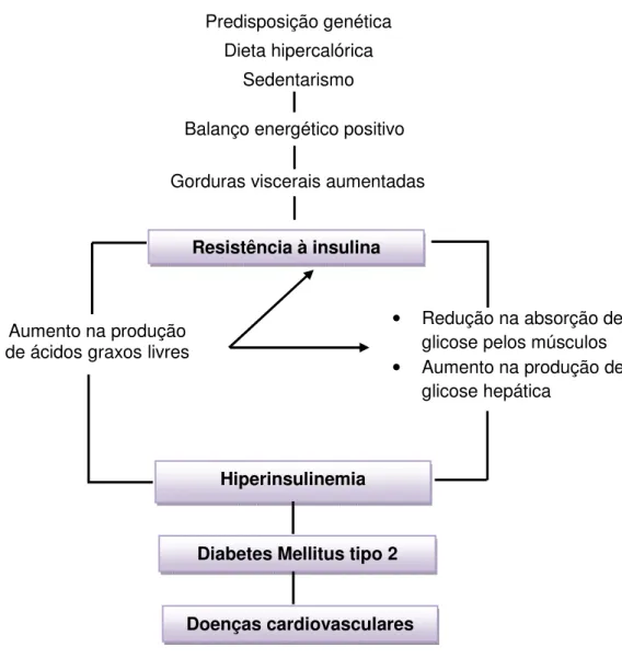 Figura 2. Obesidade e suas relações com a resistência à insulina, diabetes mellitus  tipo 2 e doenças cardiovasculares