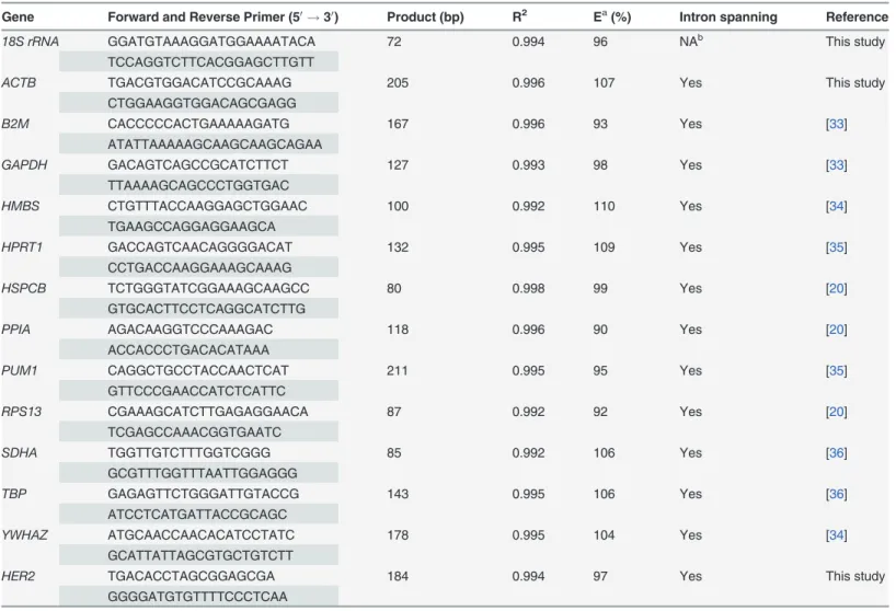 Table 3. Primers for 13 reference genes and a target gene.
