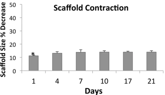 Fig 3. Contraction of porous 70:30 col/PCL scaffolds containing seeded fibroblasts. Scaffold diameters were measured at each time interval to quantify contraction (plotted as percent decrease in scaffold