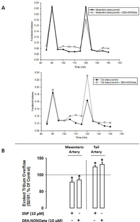 Fig 1. Panel A: time course of fractional tritium release from mesenteric and tail artery controls (filled circles) and from mesenteric and tail arteries with the NO donor, DEA-NONOate (open circles) taken from a typical experiment