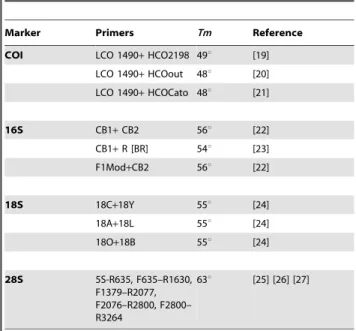 Table 1. List of Ceriantharia species included in the present study.