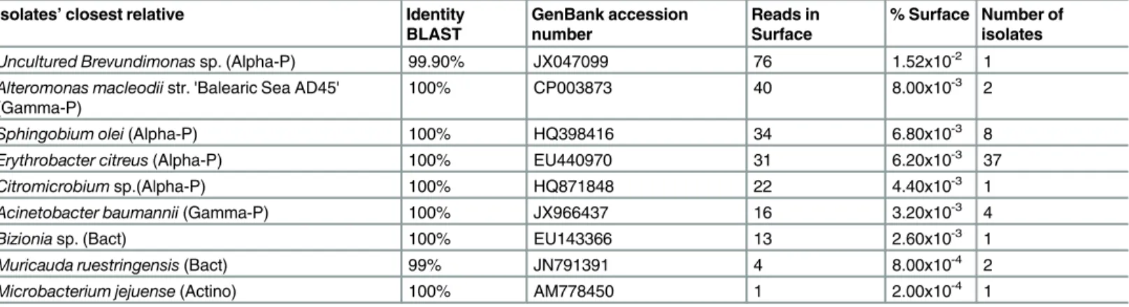 Table 2. Cultured isolates with matching HTS sequences. Columns show the isolates’ closest relatives according to the BLAST results, the percentage of identity with the BLAST reference strain (identity BLAST), the GenBank accession number of the BLAST refe