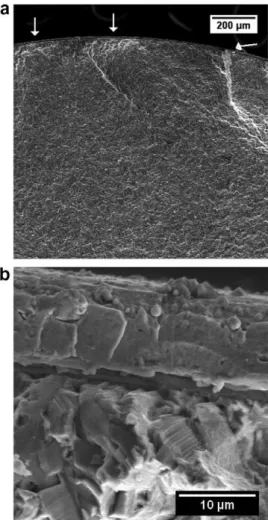 Fig. 5. Fracture surface of Ti–6Al–4V alloy CrN coated – r max = 800 MPa, 18,888. (a) 100 (b) 3500 – detail in (a).