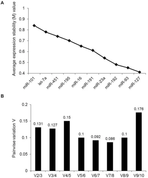 Fig 2. geNorm analysis of qRT-PCR of candidate reference genes. (A) Ranking of candidate reference genes according to average expression stability (M value)