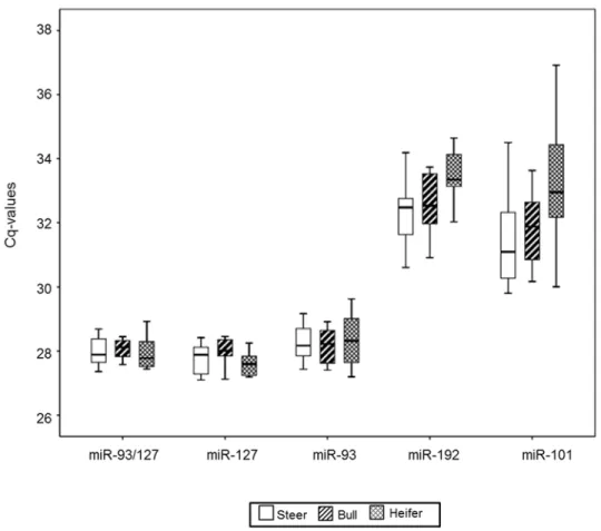 Fig 5. Levels of candidate reference miRNAs among different genders. qRT-PCR experiments were performed on steer serum (steer; n = 14), bull serum (bull; n = 10), and heifer serum (heifer; n = 9)