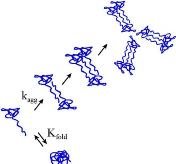 Figure 16. Scheme describing the competition between a conformational transition and an aggregation reaction of a protein in the presence of a crowding agent.