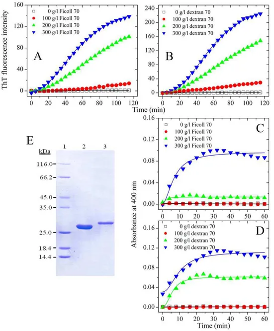 Figure 2. Macromolecular crowding enhances GSK-3b phosphorylated Tau 244–441 fibrillization