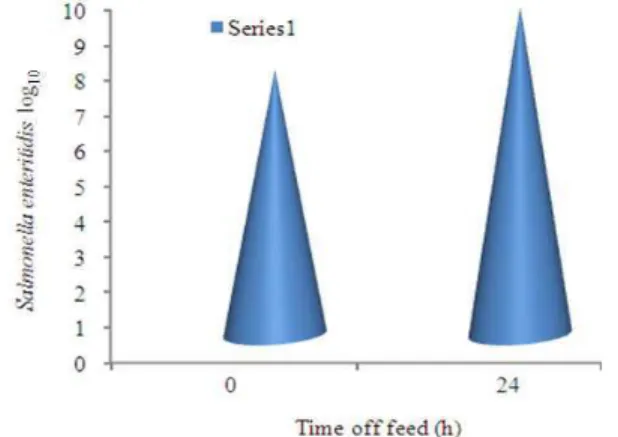 Fig. 1: Effect  of  24  h  feed  withdrawal  on  in  vitro  Salmonella enteritidis attachment to broiler ileal  tissue 