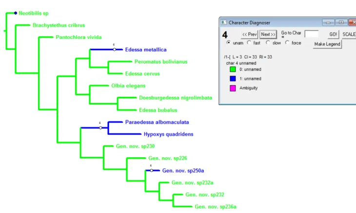Figura 4: Cladograma mostrando a otimização do caráter 4. Ramos verdes representam  o estado plesiomórfico, ramos azuis o estado apomórfico