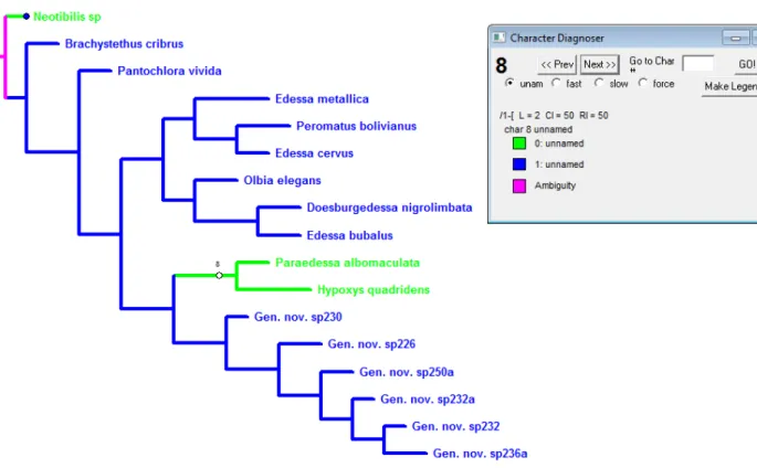 Figura 8: Cladograma mostrando a otimização do caráter 8. Ramos verdes representam  o estado plesiomórfico, ramos azuis o estado apomórfico