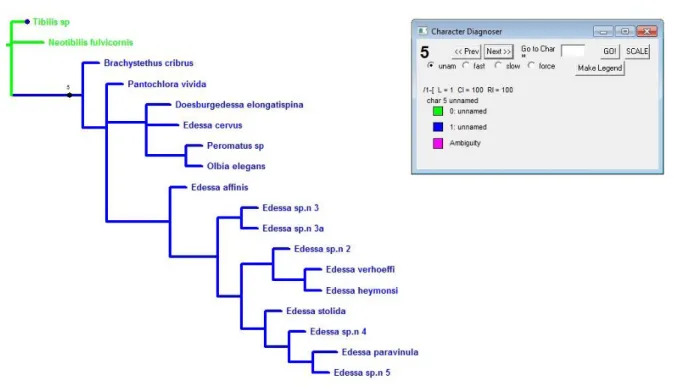 Figura  25:  Evolução do caráter 5. Ramos verdes representam o estado plesiomórfico e ramos azuis  representa o estado apomórfico