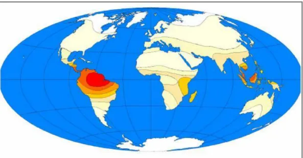 Figura 1. Diversidade de morcegos baseados no número de espécies por 500 Km 2  através  do  mundo  (adaptado  de  Findley,  1993)