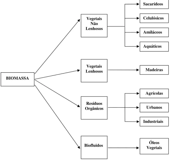 Figura 2 - Classificação dos tipos de biomassa 