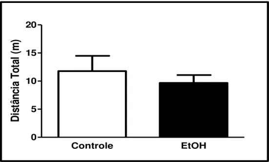 Figura 8: Efeito do etanol (EtOH) em forma de binge agudo na atividade locomotora/ exploratória de  ratas  na  fase  de  adolescência  através  da  distância  total  percorrida  (metros)