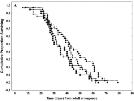 Fig 5. Survival curves for adult Diachasmimorpha longicaudata reared on Ceratitis capitata larvae that developed in different host fruit