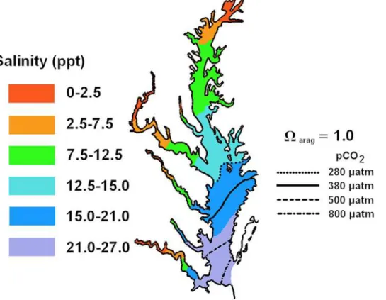 Figure 1. Projected mean summer positions of aragonite compensation points (V arag = 1.0) for Chesapeake Bay