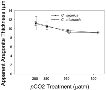 Figure 4. Effects of p CO 2 treatment on apparent aragonite shell thickness for two oyster species